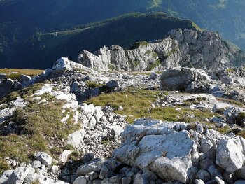 Blick zurück zum Purtschellerhaus und Eckeralmen